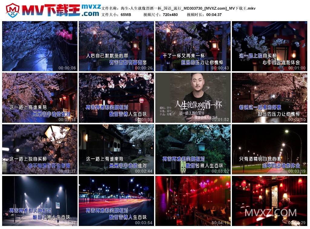 海生-人生就像烈酒一杯_国语_流行_MD303730